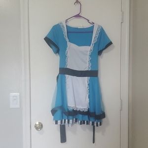 Alice and wonderland costume dress